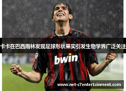 卡卡在巴西雨林发现足球形状果实引发生物学界广泛关注 卡卡在巴西雨林发现足球形状果实引发生物学界广泛关注