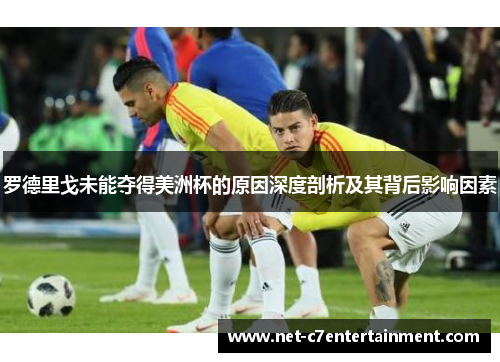 罗德里戈未能夺得美洲杯的原因深度剖析及其背后影响因素 罗德里戈未能夺得美洲杯的原因深度剖析及其背后影响因素