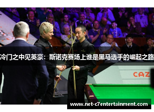 冷门之中见英豪:斯诺克赛场上谁是黑马选手的崛起之路 冷门之中见英豪:斯诺克赛场上谁是黑马选手的崛起之路