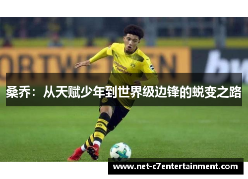 桑乔:从天赋少年到世界级边锋的蜕变之路 桑乔:从天赋少年到世界级边锋的蜕变之路