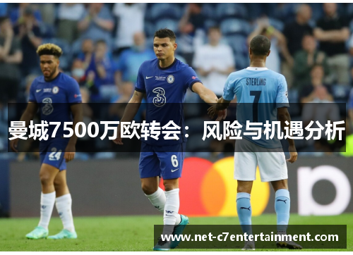 曼城7500万欧转会:风险与机遇分析 曼城7500万欧转会:风险与机遇分析