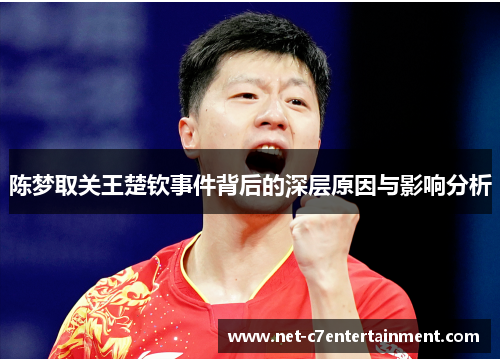 陈梦取关王楚钦事件背后的深层原因与影响分析 陈梦取关王楚钦事件背后的深层原因与影响分析