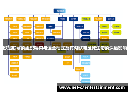 欧超联赛的组织架构与运营模式及其对欧洲足球生态的深远影响 欧超联赛的组织架构与运营模式及其对欧洲足球生态的深远影响