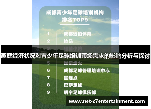 家庭经济状况对青少年足球培训市场需求的影响分析与探讨
