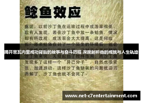 揭开恩瓦内里成功背后的故事与奋斗历程 深度剖析他的成就与人生轨迹 揭开恩瓦内里成功背后的故事与奋斗历程 深度剖析他的成就与人生轨迹