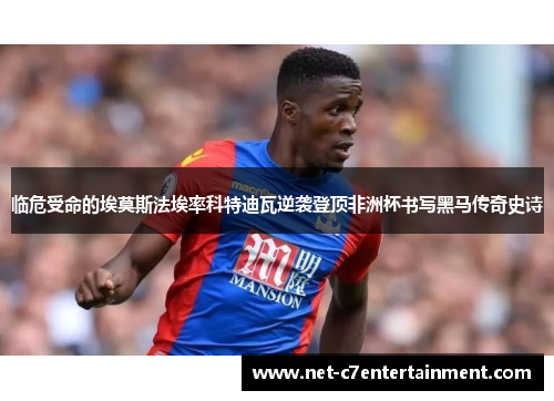 临危受命的埃莫斯法埃率科特迪瓦逆袭登顶非洲杯书写黑马传奇史诗 临危受命的埃莫斯法埃率科特迪瓦逆袭登顶非洲杯书写黑马传奇史诗