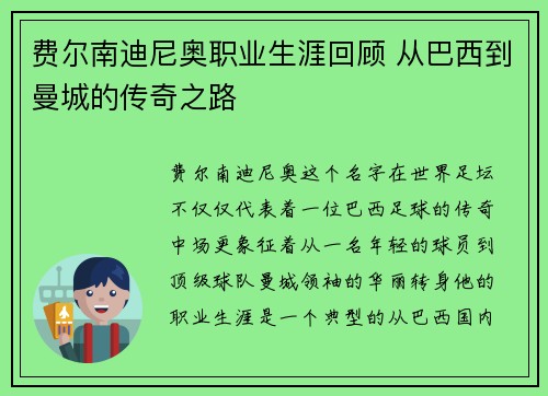 费尔南迪尼奥职业生涯回顾 从巴西到曼城的传奇之路