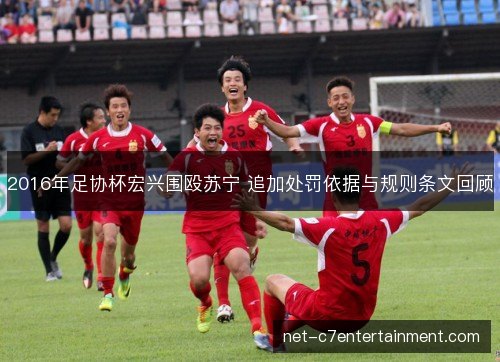 2016年足协杯宏兴围殴苏宁 追加处罚依据与规则条文回顾 2016年足协杯宏兴围殴苏宁 追加处罚依据与规则条文回顾